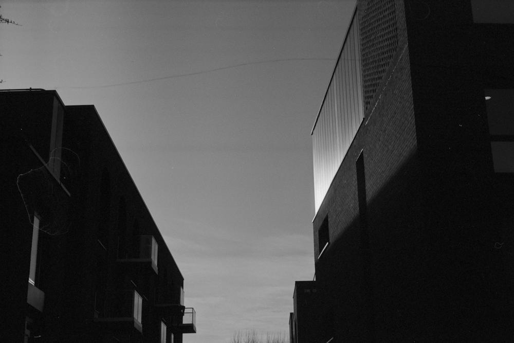 /photos/Bemo-7.jpg